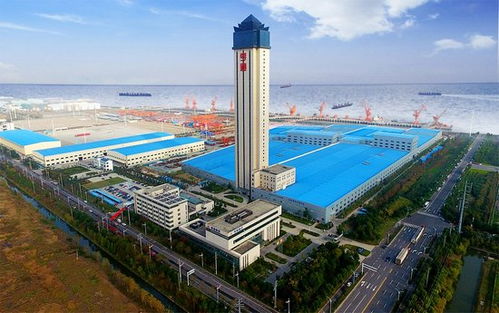 八大光企业绩出炉 高光背后，新能源技术开发的机遇与挑战